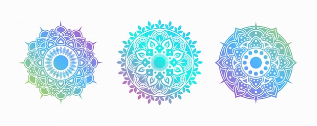 Set of Colorful Mandala. Flower Decorative Shape.