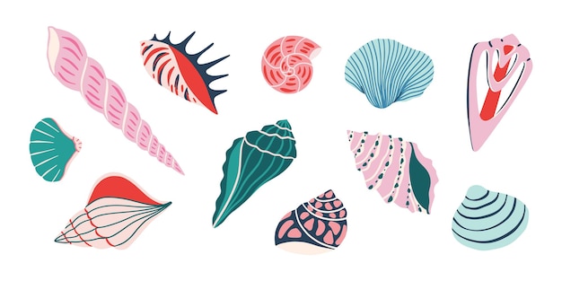 Set of colorful sea shells Vector flat illustration