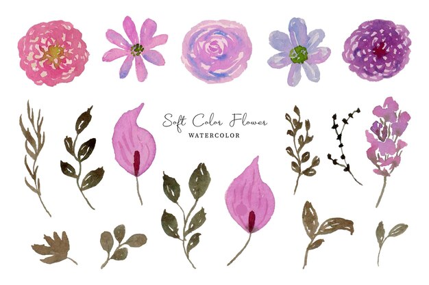 A set of colorful summer flower watercolor illustration