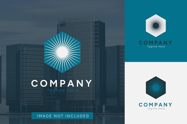 Vector set of company logo vector design templates with different color styles