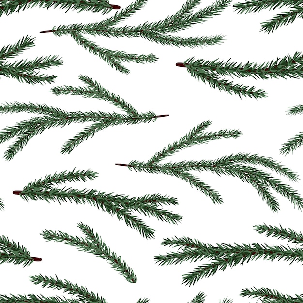 Set of conifer branches vector seamless pattern Pine spruce cedar larch fir branches winter texture