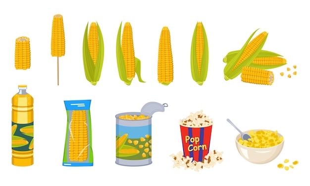 Set of corn cobs, oil, tin can, popcorn and cornflakes in a bowl. Group of yellow delicious vegetables and different products from it