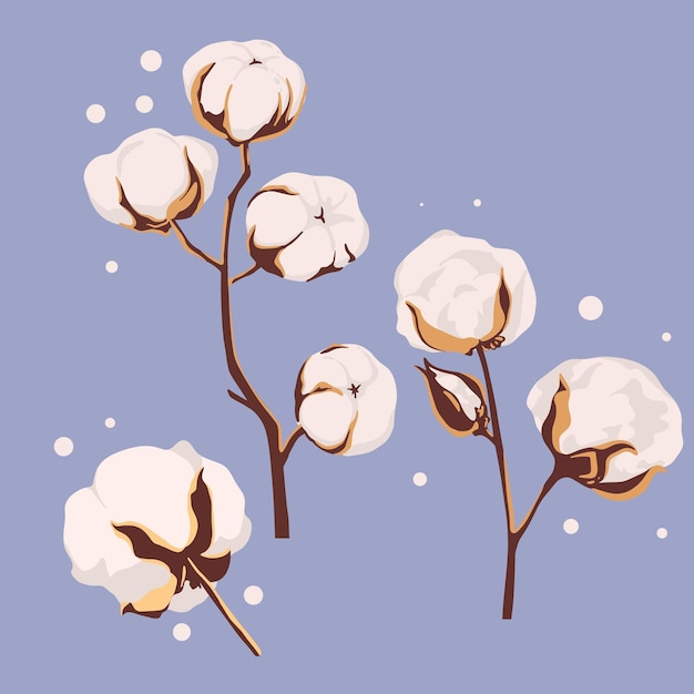 Set of cotton flowers Vector hand drawn botanical illustration