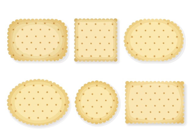 a set of crackers with crackersBiscuit crackers isolated on white background Vector cartoon on them