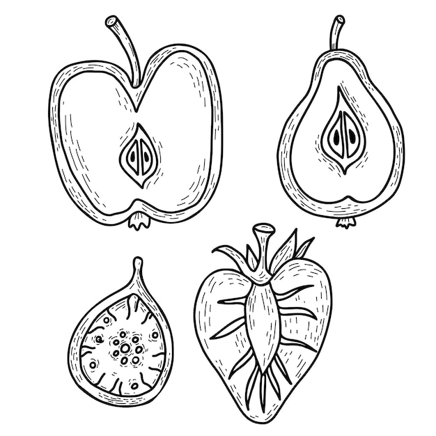 Set cut fruits and berries Half strawberry fig half apple and half pear with leaf Linear hand drawn