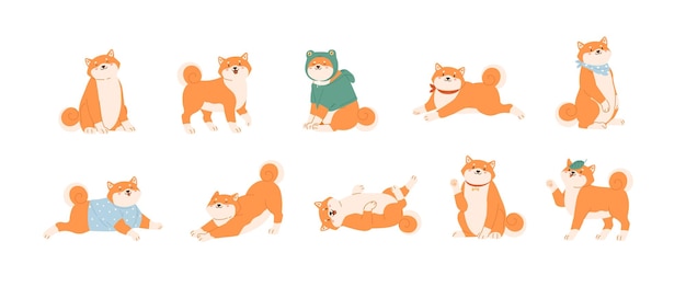 Set of cute Akita Inu dogs in various postures. Funny Japanese Shiba Inu puppies waxing with paw, lying, running, playing and sitting. Colored kawaii flat vector illustration isolated on white.