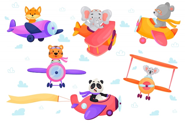 Set of cute animal on planes. Kids transport. Funny pilots. Fox, bear, tiger, elephant, panda, koala. illustration