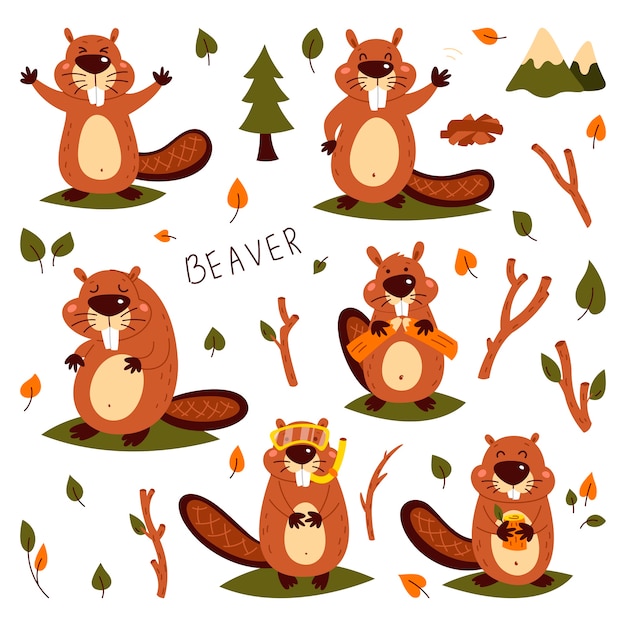 Set of cute beavers. Sticker. Children's, funny. Cartoon comic book style  illustration of forest wild animals.