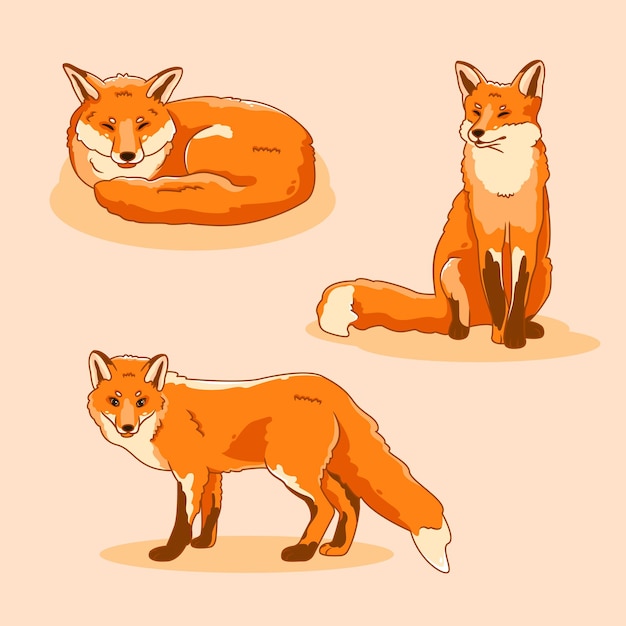 Set of cute cartoon foxes in modern simple flat style