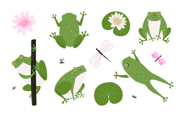 Set of cute cartoon frogs Simple hand drawn illustration of nature