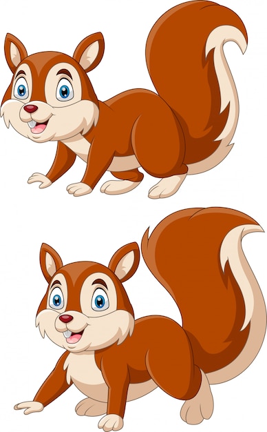 Set of cute cartoon squirrels