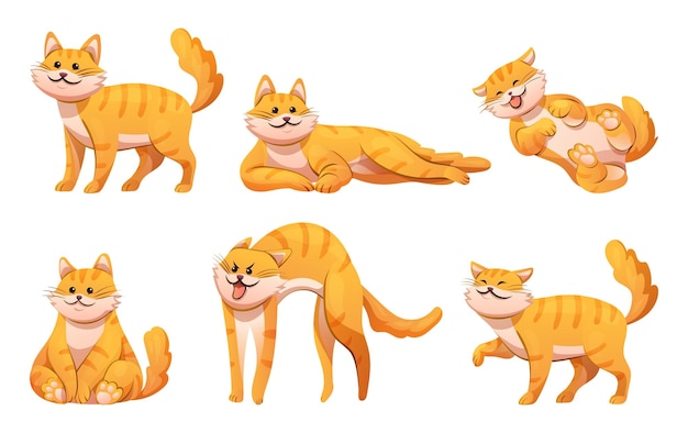 Set of cute cat in various poses cartoon illustration