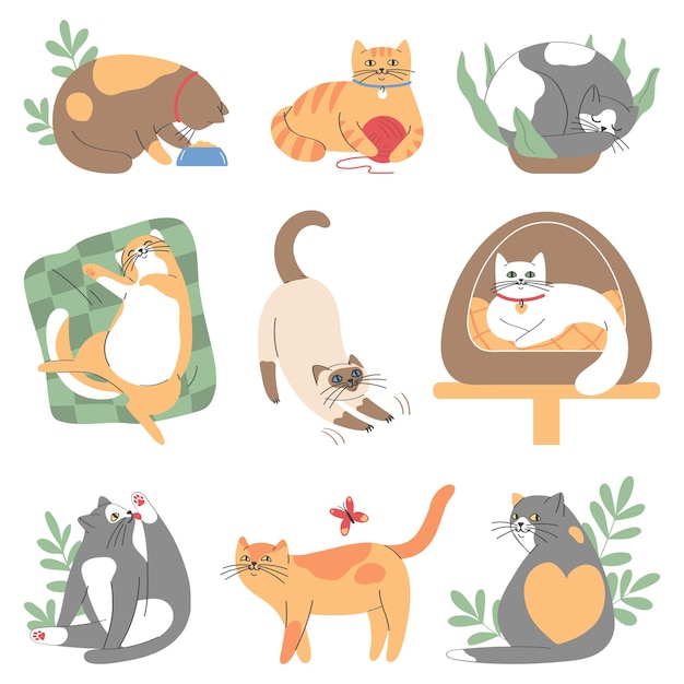 Set of cute cats isolated on white backgroundCats of different breedsCartoon vector illustration