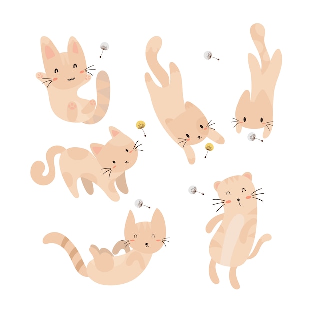 set of cute cats