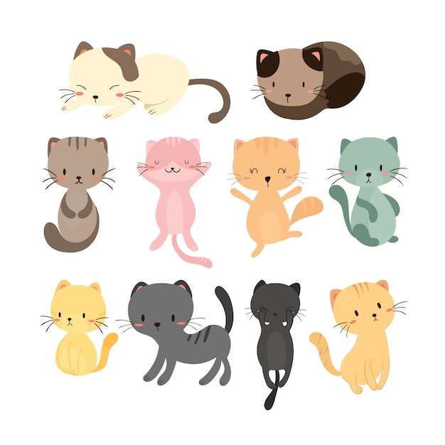 set of cute cats