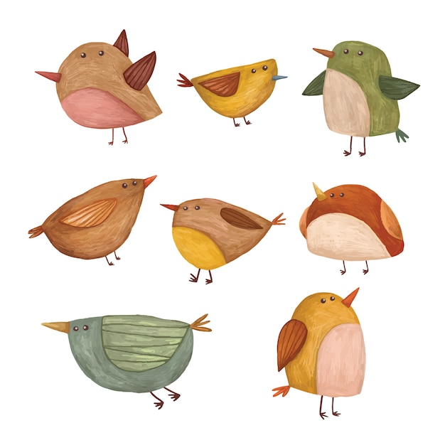 Set of cute colorful bird illustration