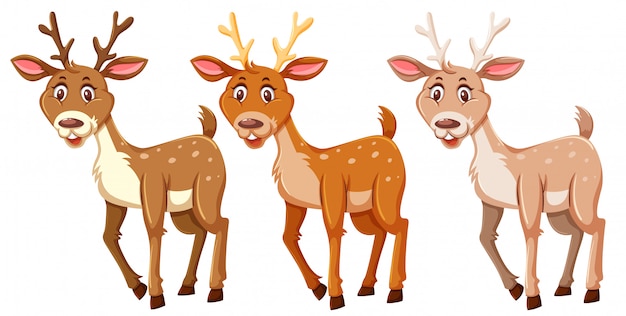 Set of cute deers