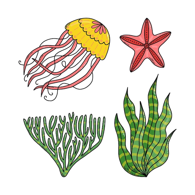 Set cute doodle sea jellyfish starfish algae