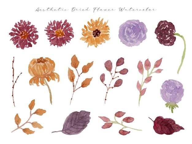 a set of cute dried flower watercolor