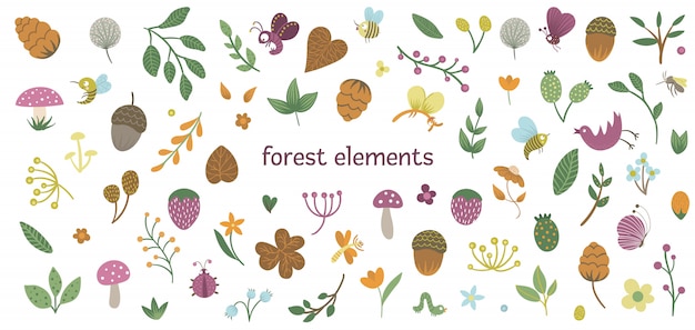  set of cute flat woodland insects and plants. Forest elements collection. Beautiful childish design for stationery, textile, wallpapers.