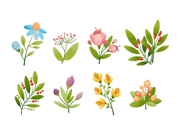 Set of cute flowers with branches and leaves