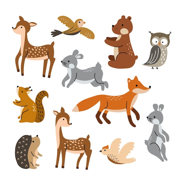 Set of cute forest animals isolated on white background Vector illustration for your design