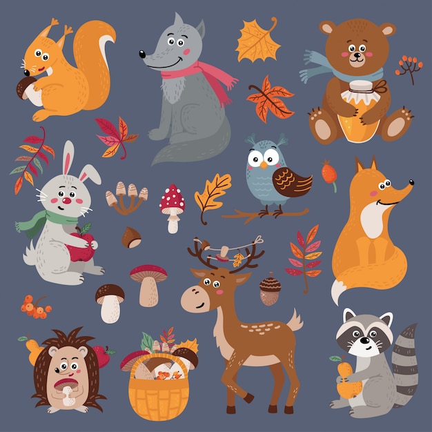 Set of cute forest animals 