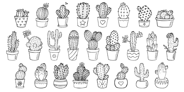 Set of cute hand drawn cactus illustration Houseplant in a pot clipart Cozy home doodle