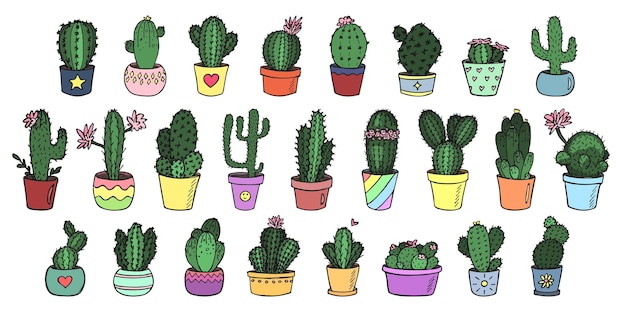 Set of cute hand drawn cactus illustration Houseplant in a pot clipart Cozy home doodle