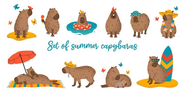 Vector set cute hand drawn cartoon summer capybaras in various poses and items with grainy textured effect