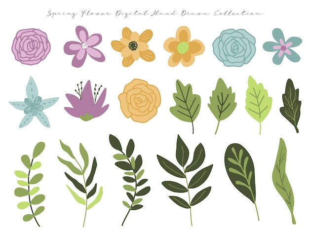 a set of cute hand drawn spring flower and leaf