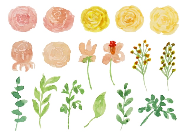 a set of cute hand painted soft flower watercolor