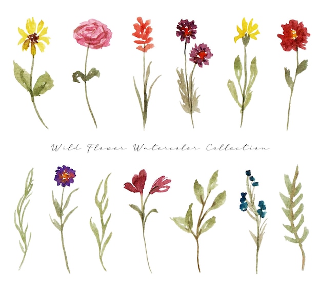 a set of cute hand painted wild flower watercolor