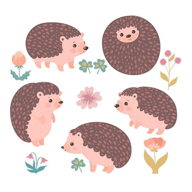 Set of cute hedgehogs isolated