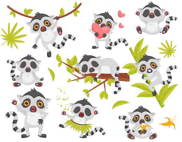   set of cute lemur in different actions. Exotic animal with long tail and big shiny eyes