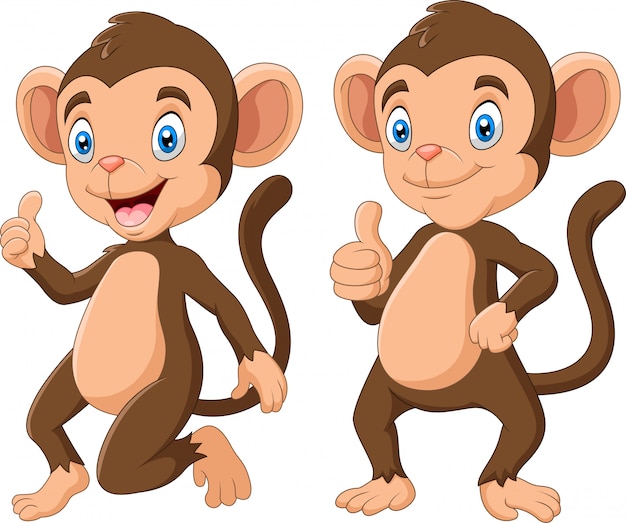 Set of cute monkeys cartoon illustration