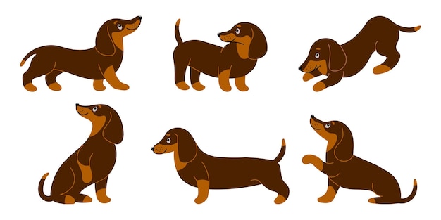 Set of cute purebred dachshund dogs in different poses Cartoon style illustration vector