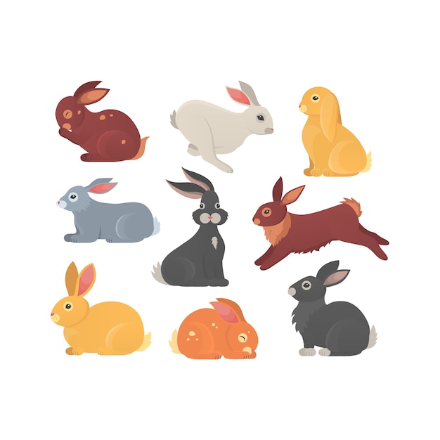  set of cute rabbits . Bunny pet silhouette in different poses. Hare and rabbit colorful animals collection.