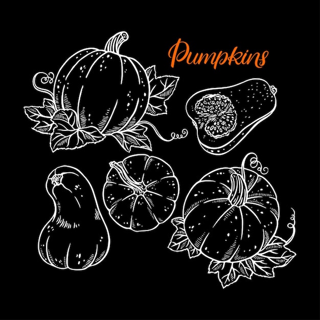 Set of cute ripe pumpkins Handdrawn illustration