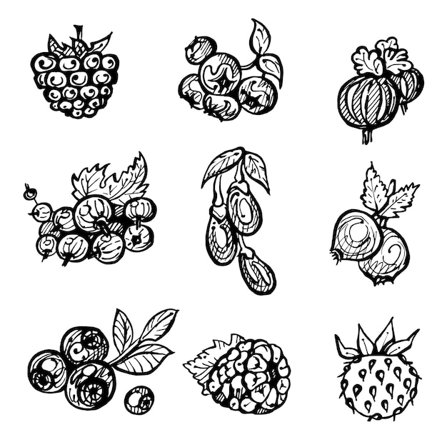 Set of cute vector berries