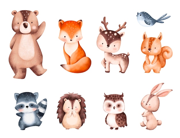 Set of Cute Woodland Animals Illustration