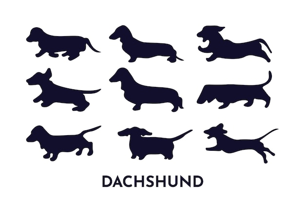 Set of dachshund silhouettes in different poses running sitting playing black illustration