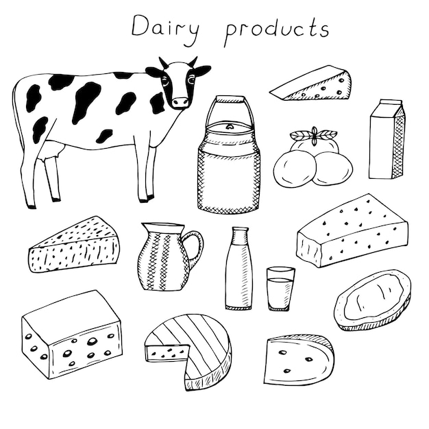 Set of dairy products vector illustration, hand drawing doodles