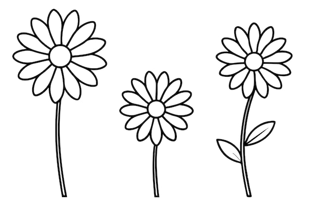 Vector set of daisy flower line art on white background