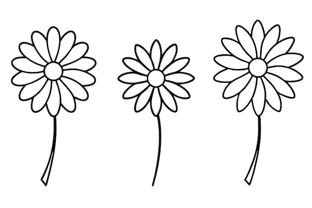 Vector set of daisy flower line art on white background