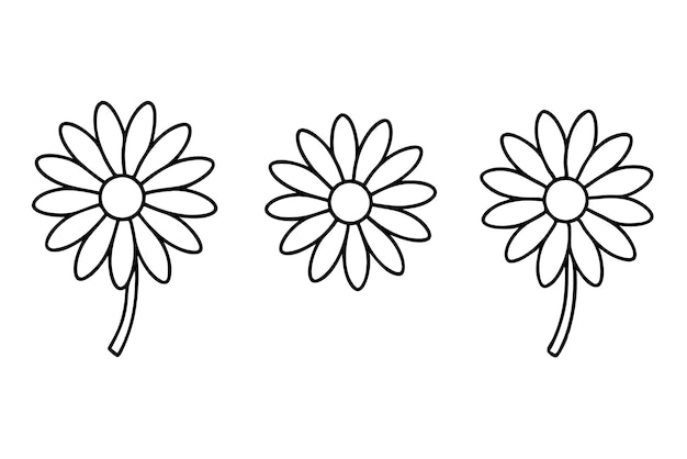 Vector set of daisy flower line art on white background