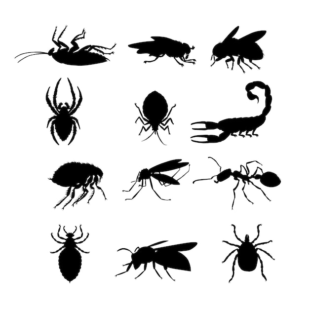 A set of dangerous and poisonous insects carriers of plague and other diseases and infections