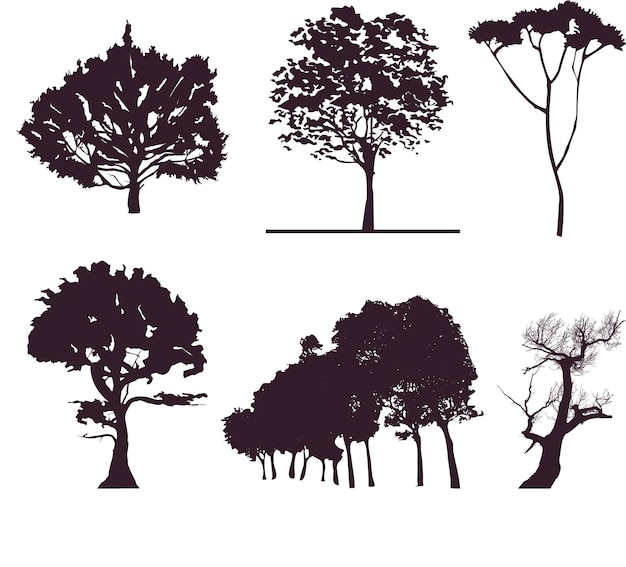 Set of deciduous trees silhouettes