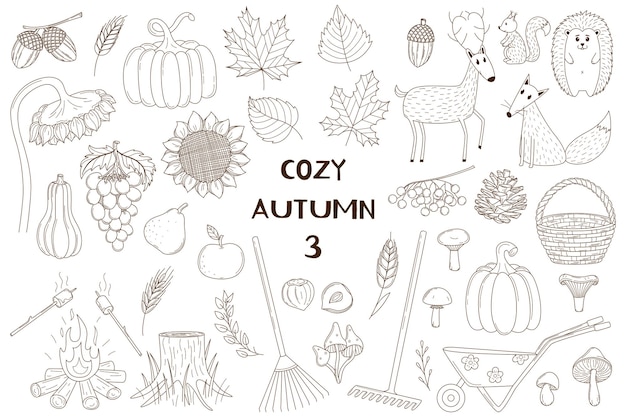 A set of decorative elements Autumn cozy home hugge Crops forests animals Design collection of outline doodles Black and white vector illustration Isolated on a white background