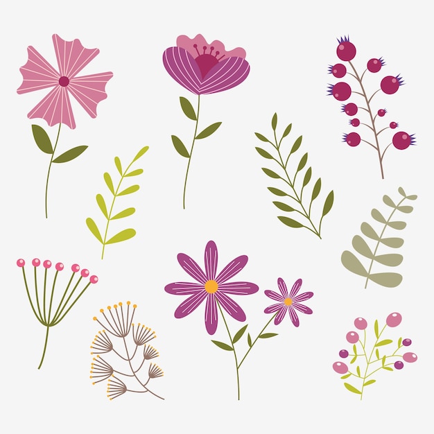 Set of decorative summer and spring blossom flowers Flat colorful botanical vector illustration